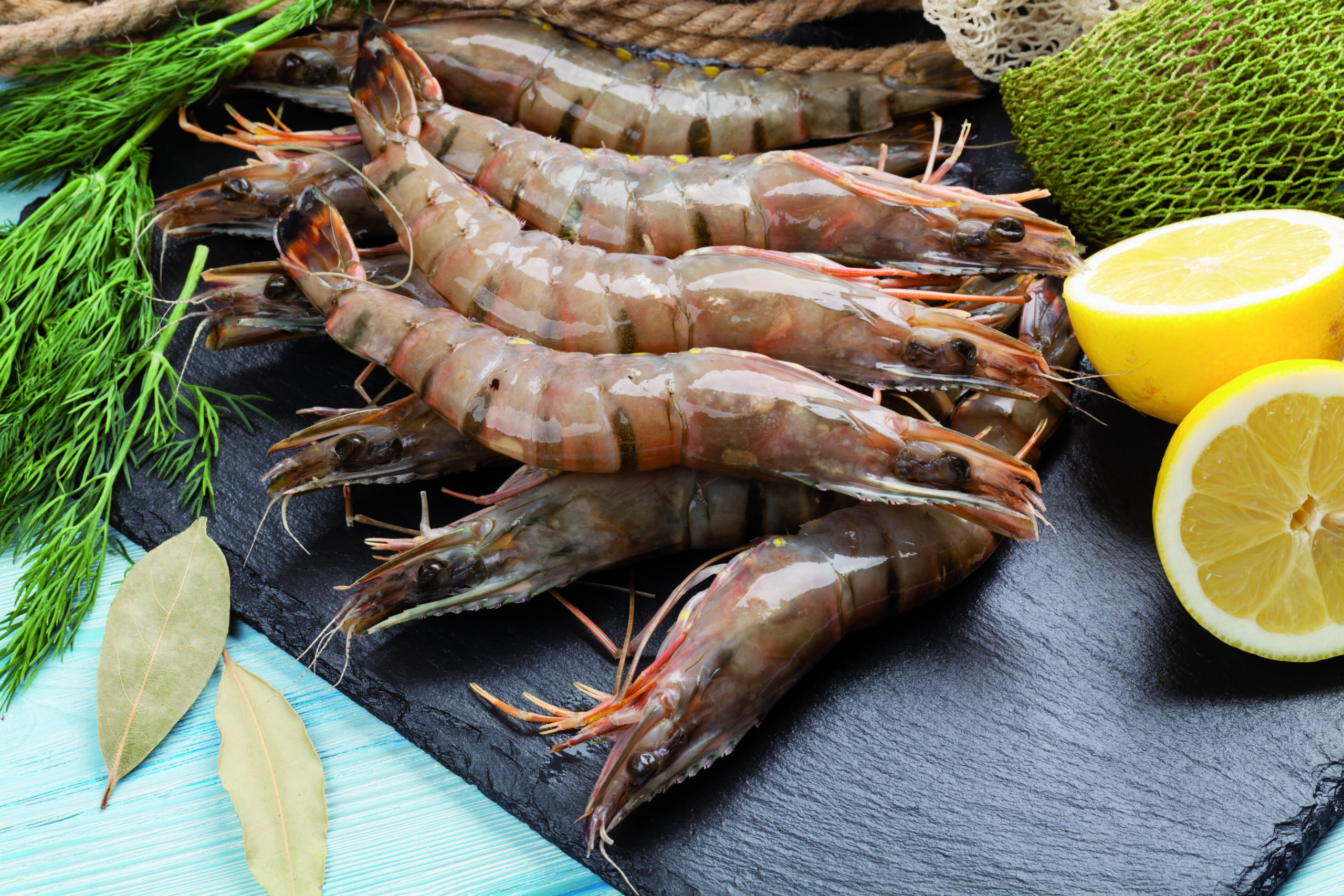 Gambas crue 40/60